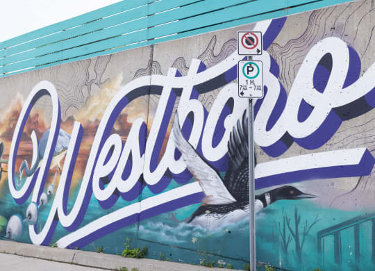 a mural on the side of a building