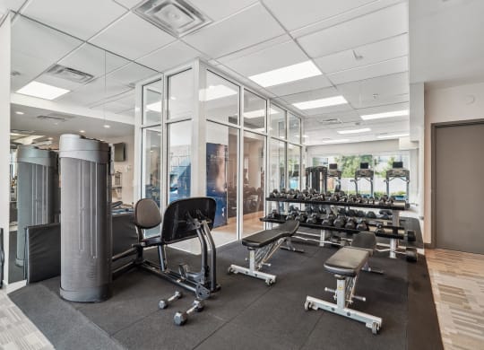 a gym with weights machines and glass walls