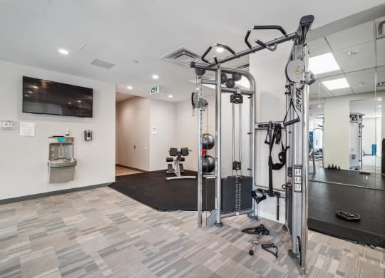 a gym with weights and a tv in the corner of a room