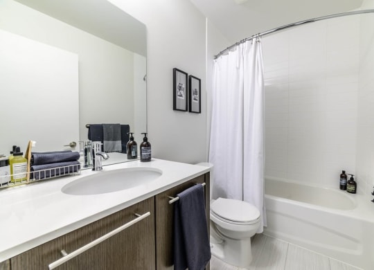 a bathroom with a sink and a toilet and a bath tub