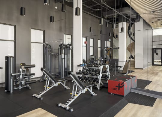 a fitness room with weights and other exercise equipment
