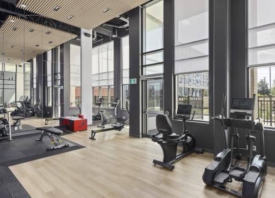 a gym with weights and cardio machines and floor to ceiling windows