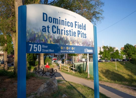 field at christie pits park