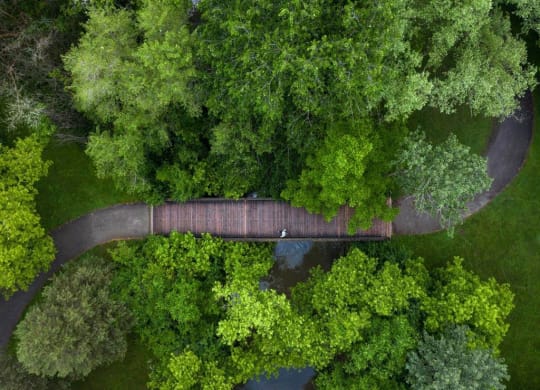 a bridge over a body of water surrounded by trees