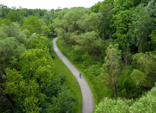 a person riding a bike down a road through a forest