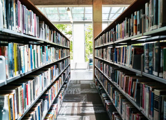 a library filled with shelves of books