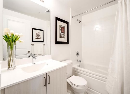 a white bathroom with a sink and a toilet