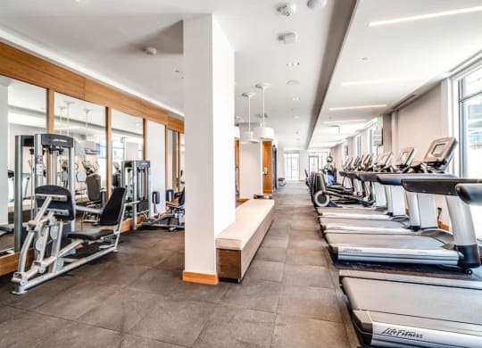 a row of cardio machines in a gym