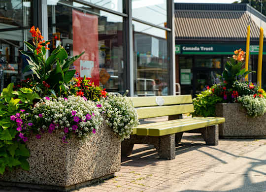 Two benches with flower pots on them are in front of a store.