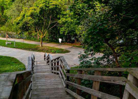 A wooden staircase leads up to a grassy area.