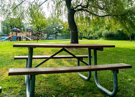 A picnic table and bench under a weeping willow tree in a park.