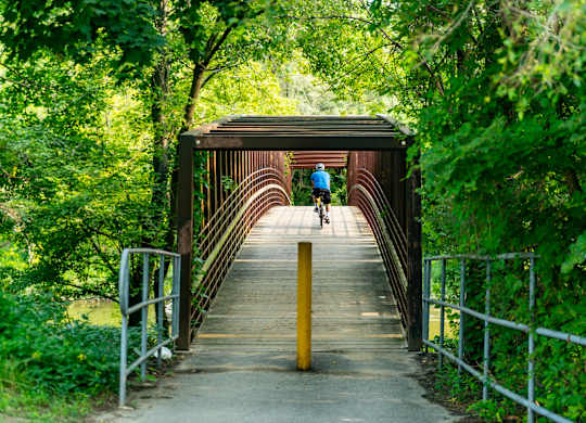 A person is walking on a bridge in a wooded area.