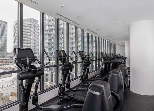 A row of treadmills in a gym with a view of the city outside the window.