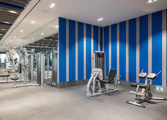 a gym with exercise equipment and blue striped walls