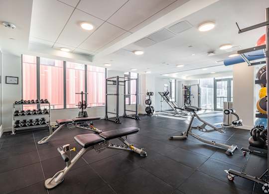 A gym with a variety of equipment including weights and a rowing machine.