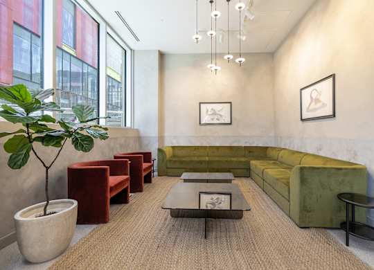 A room with a green couch and a plant in a white pot.