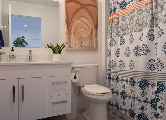 a bathroom with a shower curtain and a toilet