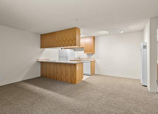View from Entry of Downstairs Unit with Upgraded Amenities