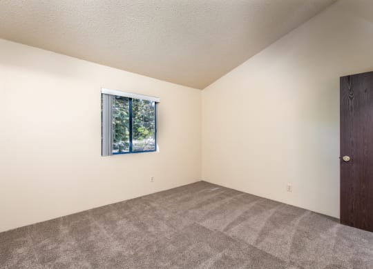Plush Carpeting at Coddingtown Mall Apartments, Santa Rosa, California