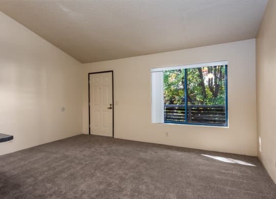 Wall-To-Wall Carpeting at Coddingtown Mall Apartments, California, 95401