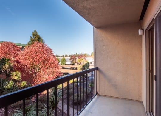 Spacious Balcony at Altamont Apartments, California, 94928