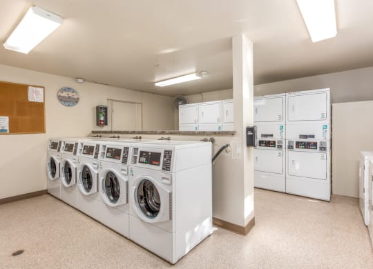 Modern Laundry Room at Coddingtown Mall Apartments, California, 95401