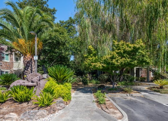 Courtyard Garden at Meadowview Apartments, Santa Rosa, 95407