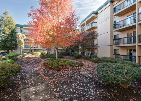 Courtyard at Altamont Apartments, California, 94928