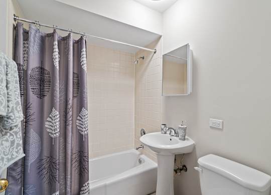 Bathroom at Hanover Park Blu Apartments, Illinois, 60133