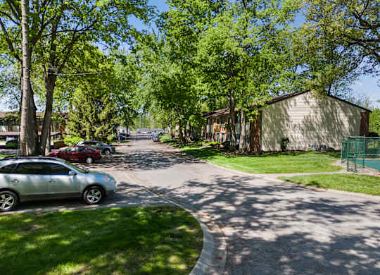 a tree lined street with cars parked on the side