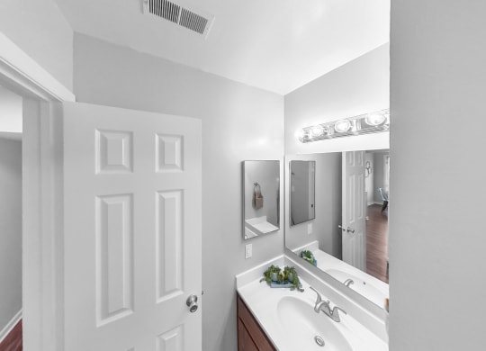 a bathroom with a sink and a mirror and a door