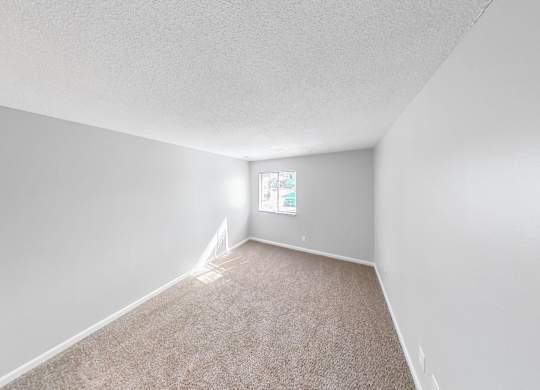 an empty room with carpet and a window