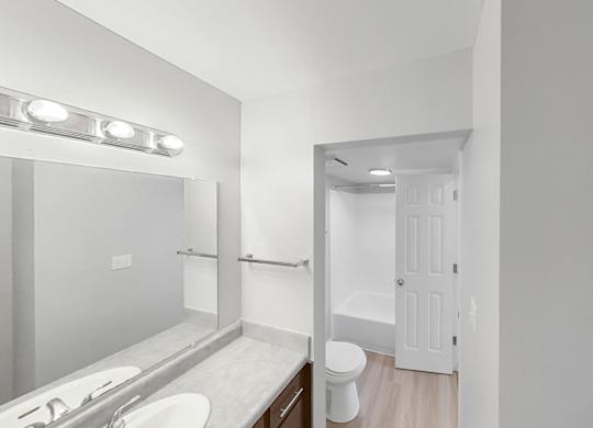 a bathroom with a toilet and a sink and a mirror