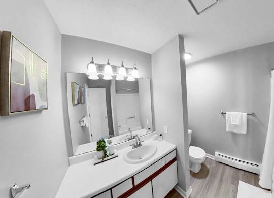 a bathroom with a sink and a shower and a toilet