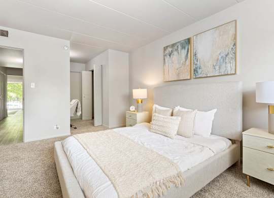 a bedroom with a large bed and a closet