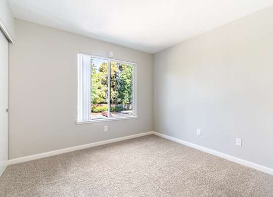 A room with a carpeted floor and a window.