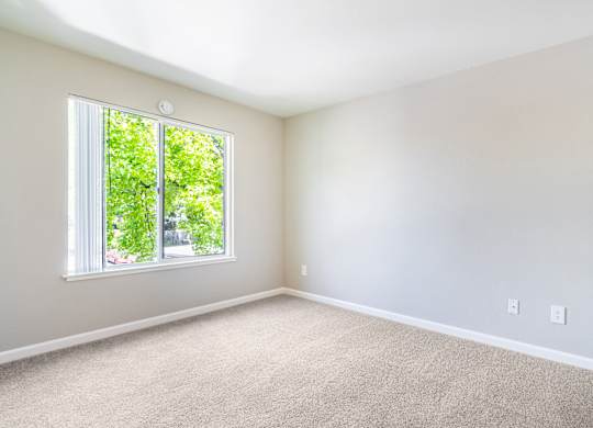 A room with a window and carpeted floor.