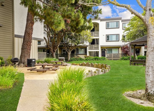 our apartments have a large yard with picnic tables and grass