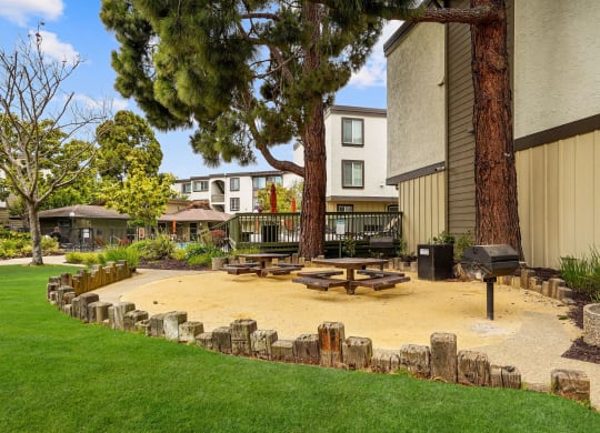 a park with a tree and benches in front of a building