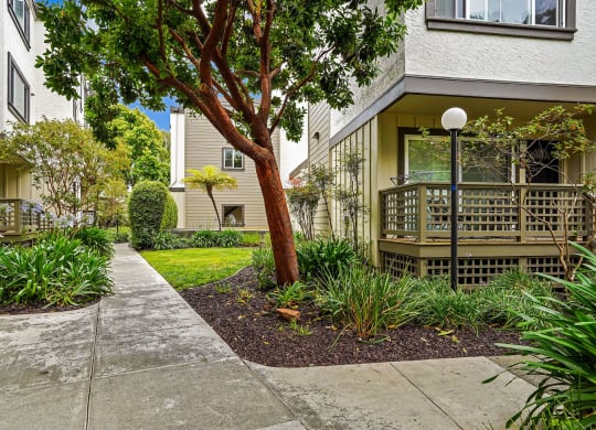 a sidewalk in front of an apartment building with a tree