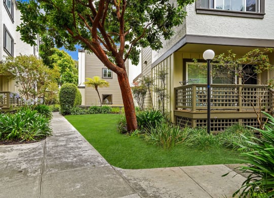 a yard with a tree in front of an apartment building
