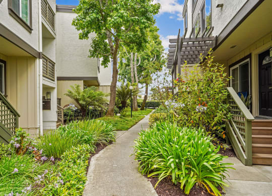 a walkway between two apartment buildings with plants and trees
