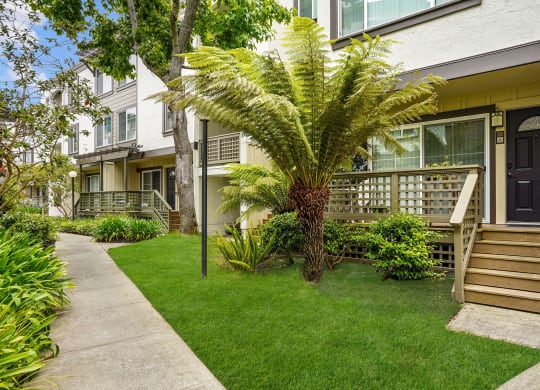 a yard with a palm tree in front of an apartment building