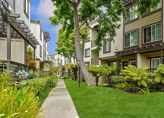 a sidewalk in front of apartments with green grass and trees