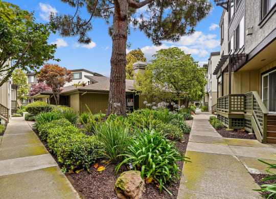 a sidewalk with trees and plants in front of a building