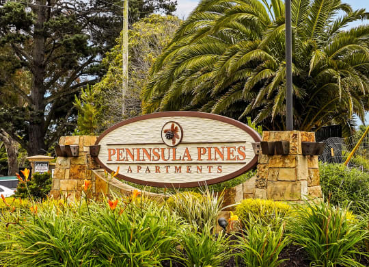 a sign pines apartments in front of palm trees