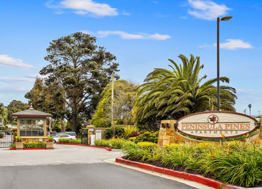 the entrance with a sign and palm trees