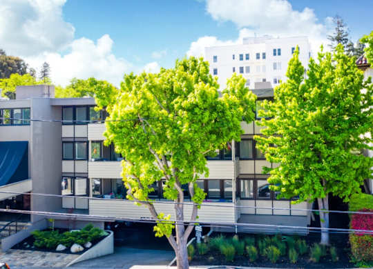 A modern building with a flat roof and large windows is surrounded by trees.