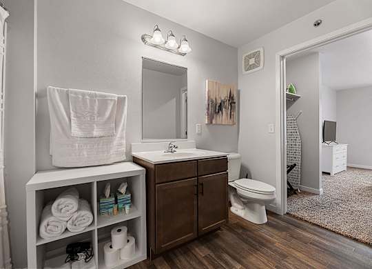 a bathroom with a sink and a toilet and a mirror at Red Rock Apartments, Rapid City, 57702