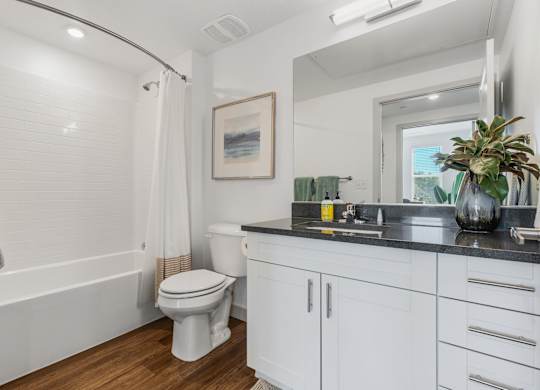 a bathroom with a toilet and a sink and a mirror at City View St. George Apartments, St George